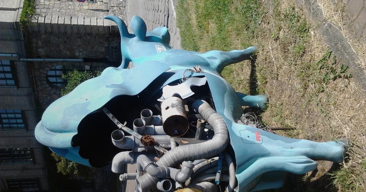 5 Chicagoland Mechanical Bull Rentals Worth Your Shortlist