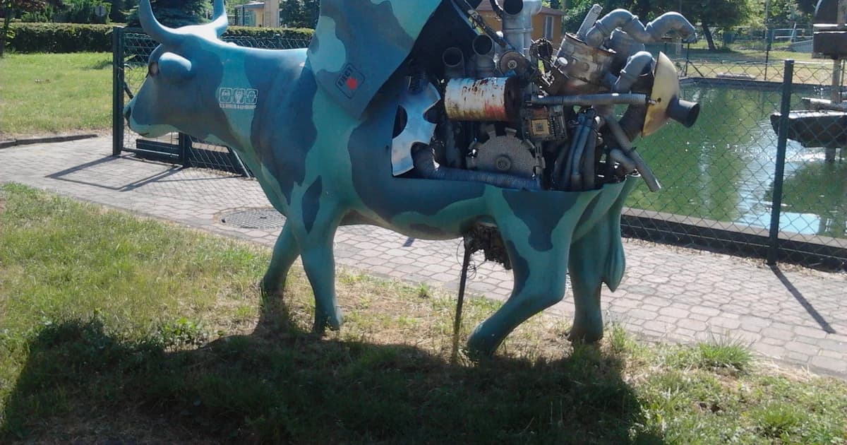 6 Best Mechanical Bull Rentals Around Dallas-Fort Worth