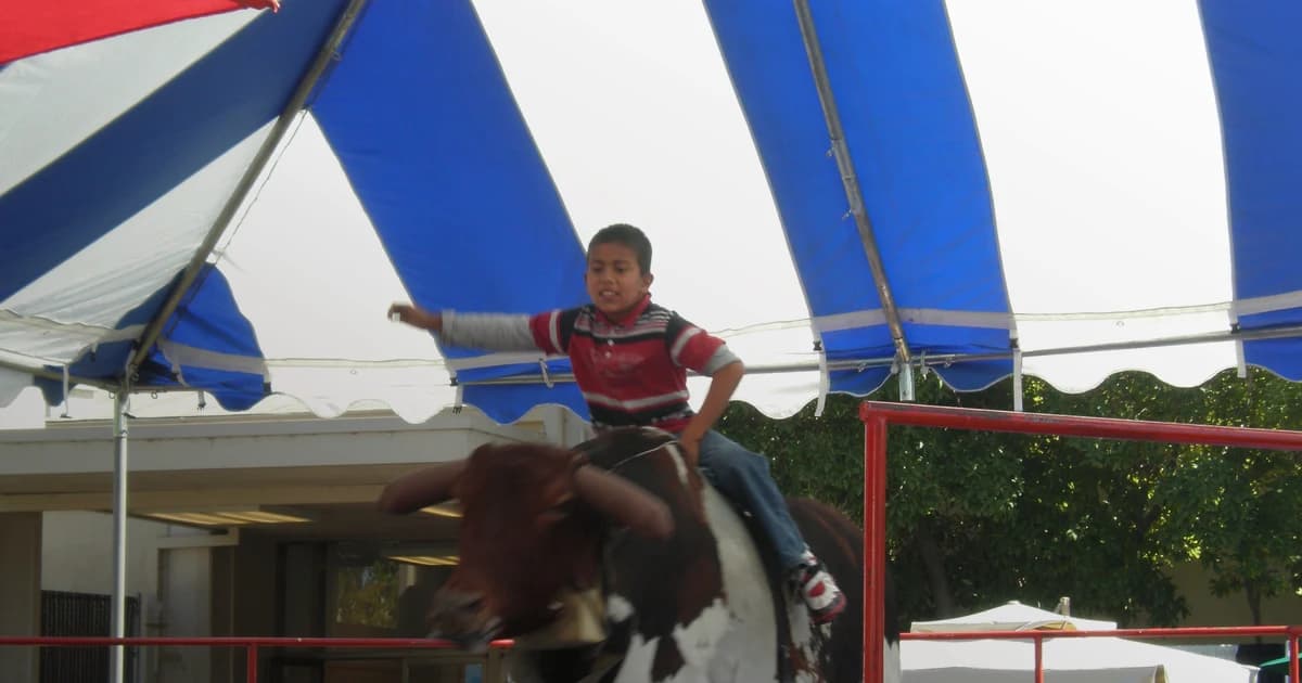 Phoenix's 5 Best Mechanical Bull Rentals